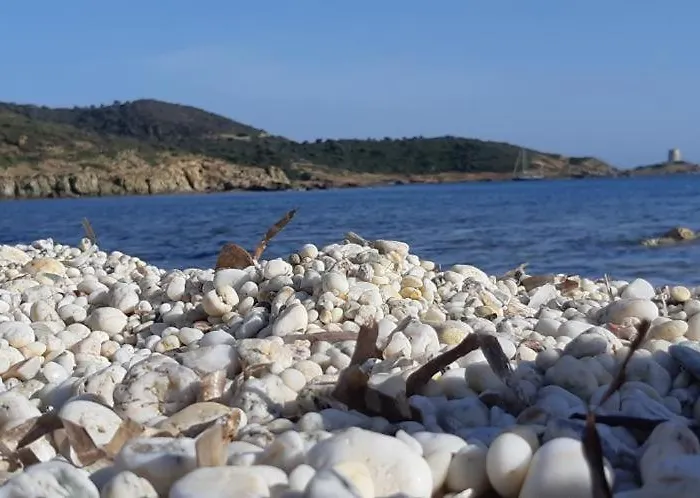 Beni Benius Теулада